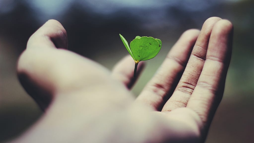 support systems for cancer survivors