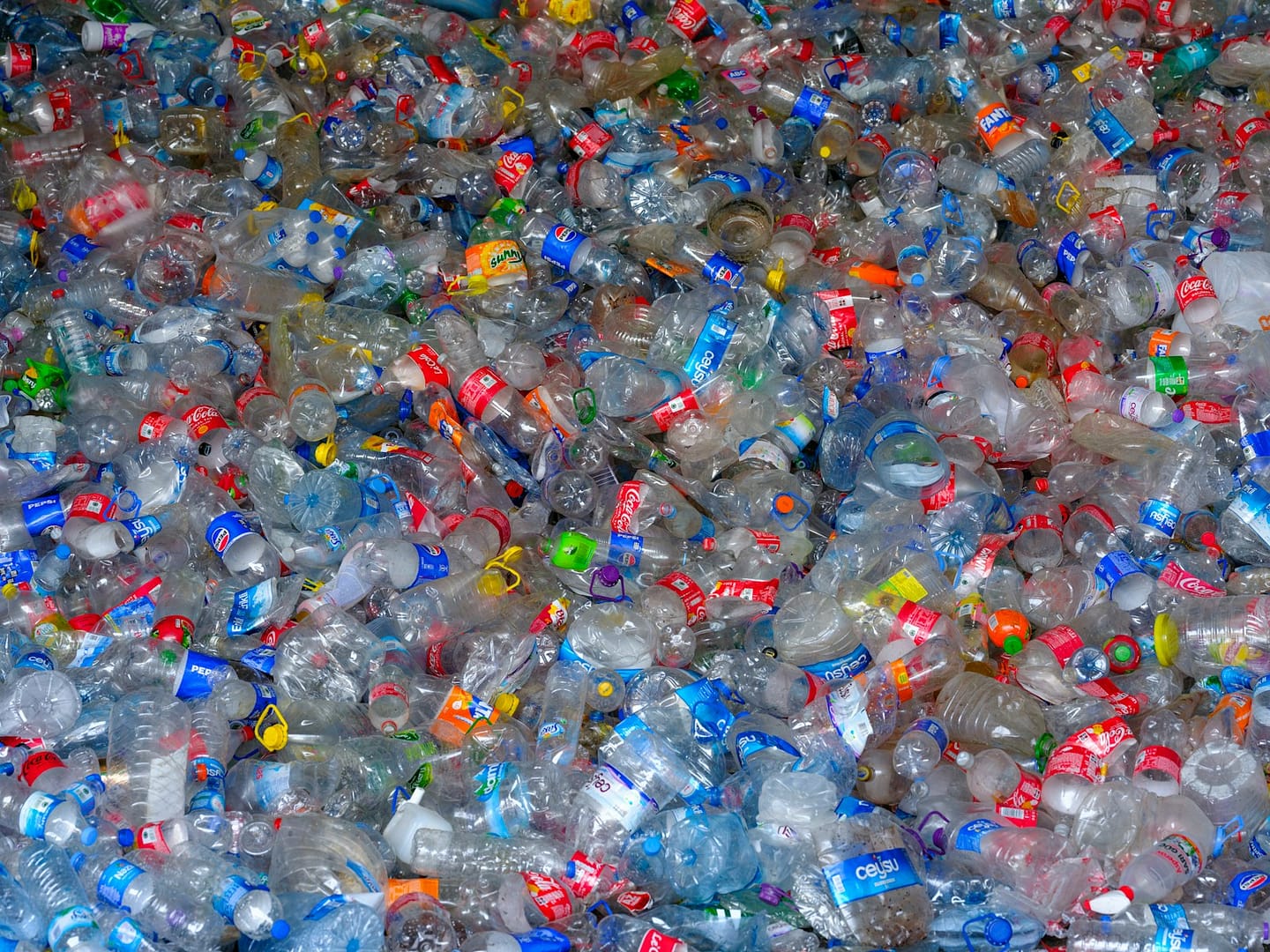 microplastics माइक्रोप्लास्टिक found in brain
