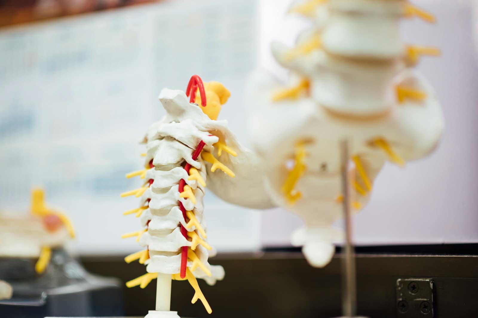 multiple sclerosis symptoms
