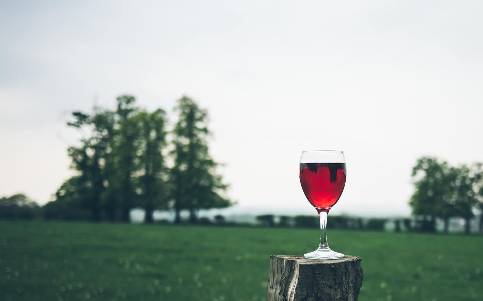 Breastfeeding and Alcohol