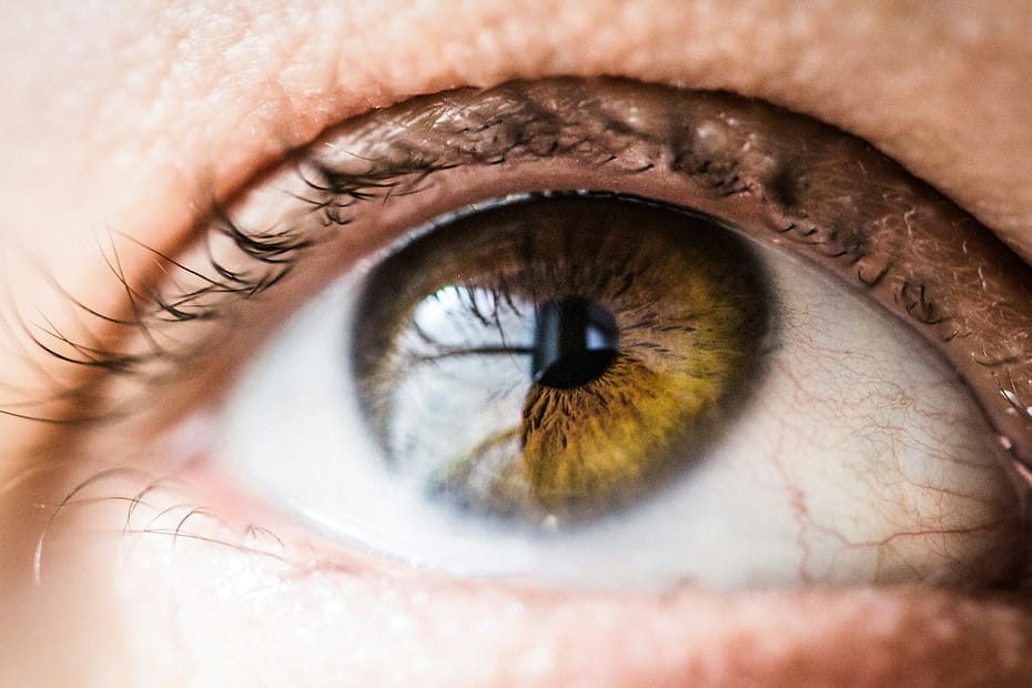 A recent study, published in Heart, reveals a groundbreaking method to predict stroke risk using retinal vascular patterns.