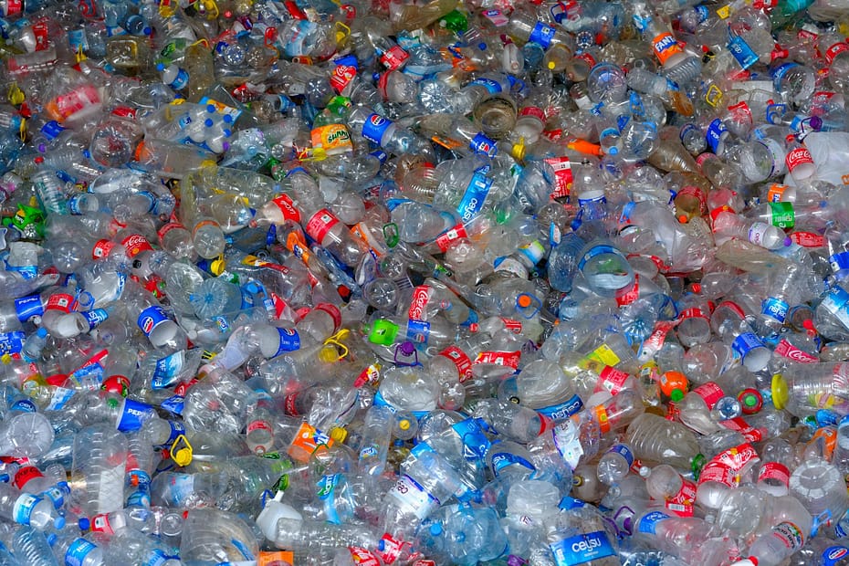 microplastics माइक्रोप्लास्टिक found in brain
