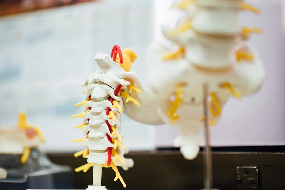 multiple sclerosis symptoms